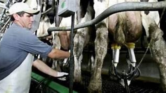 <Mastellone Hnos. destaca el rol estratégico de los productores y tamberos dentro de la cadena láctea