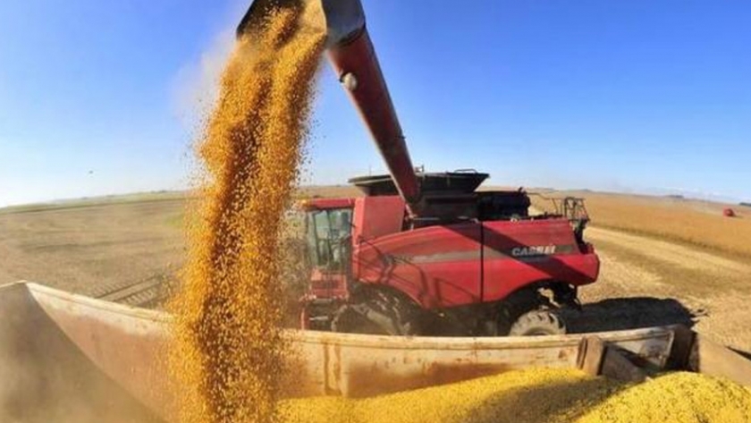 Mato Grosso inicia ventas de soja el 21/22 y el negocio comienza 4 meses después