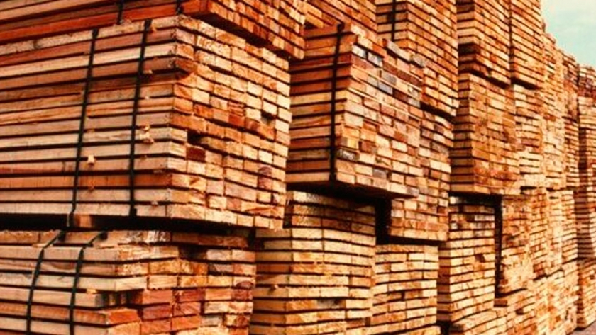 Al final el sector forestal no tiene mucho que festejar: La reducción de aranceles en China no impacta sobre los productos que más se exportan
