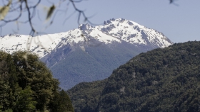 Con más de 1700 personas inscriptas, comenzó el curso sobre biodiversidad para gestoras y gestores ambientales