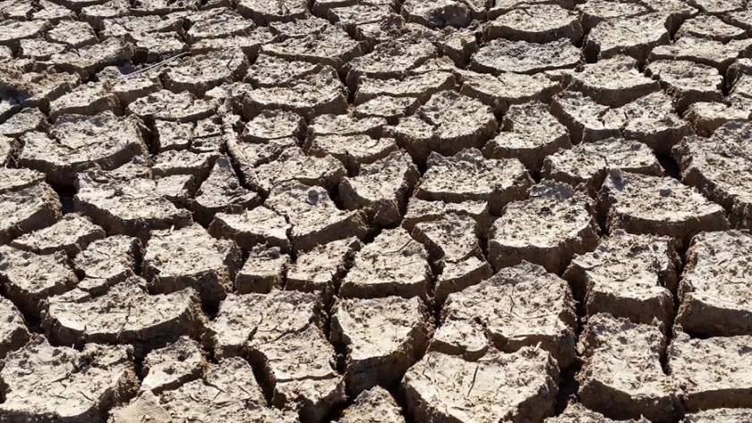 ¿Alemania enfrenta una crisis de escasez de agua?