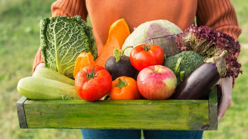 Desarrollo Agrario presenta Incubadora de Cooperativas Agropecuarias