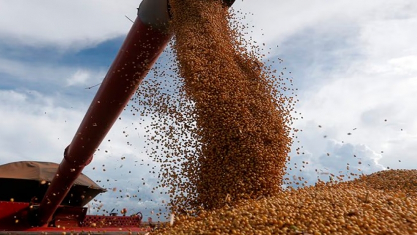 En tiempo récord, una cooperativa capacitó productores y exportó 100 mil toneladas de soja “sin deforestación”