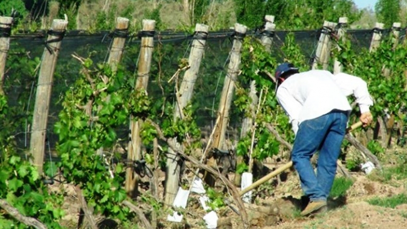 Los productores podrán actualizar el RUT a través de internet