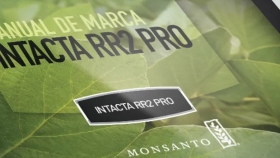 Por la soja Intacta RR2 PRO: productores brasileños le reclaman US$ 2000 millones en regalías a Bayer