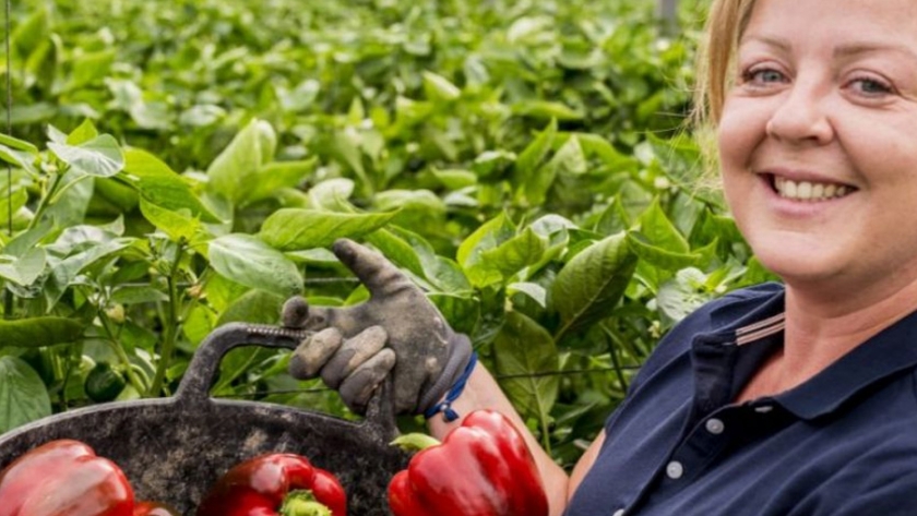 Agricultura prorrogó hasta el 20 de diciembre la convocatoria del programa "En Nuestras Manos"