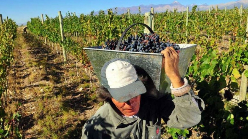 Se acordó el precio del tacho de uva