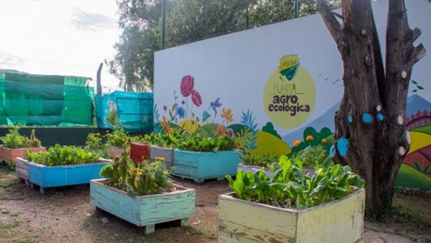 Brindarán capacitaciones sobre agroecología a docentes y alumnos de escuelas públicas digitales