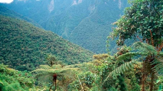 Biodiversidad en el Parque Nacional Aconquija