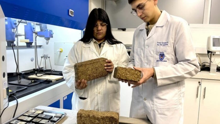 Dos estudiantes de ingeniería de la Universidad del Bío-Bío crearon Calory Bricks, una briqueta ecológica que reduce en un 99% las emisiones contaminantes