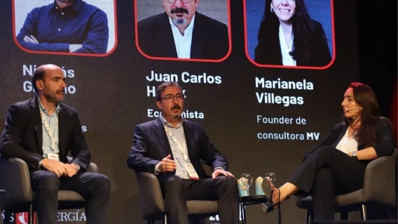 Vaca Muerta: el potencial exportador y sus límites económicos