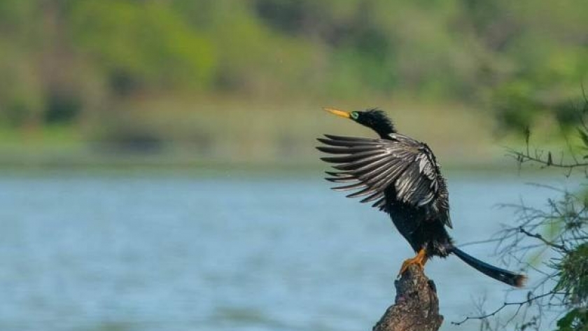 Conformaron la Mesa de Biodiversidad de la Provincia