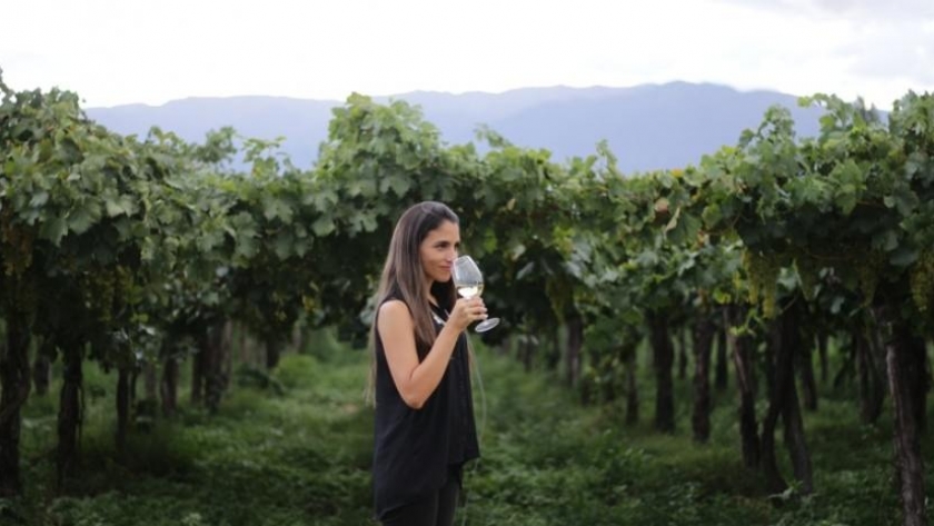 Ruta del Vino: Tucumán apuesta a la excelencia en su recorrido