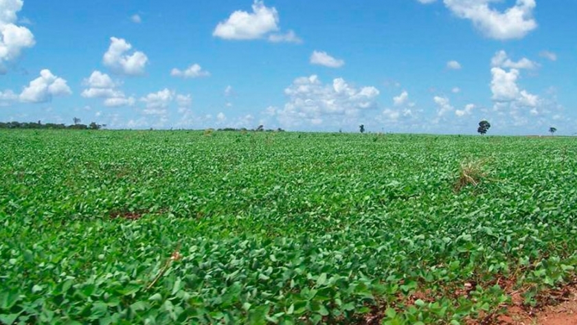 La expansión de la soja en Paraguay