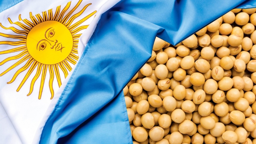 ¿Cuál es la situación actual y potencial de la producción de soja argentina?