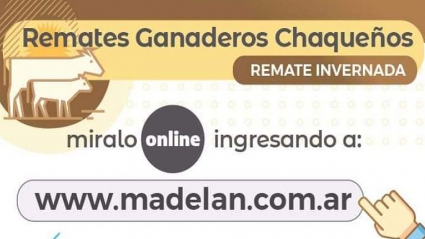 El gobierno realizará el 13 de mayo el primer remate ganadero a través de una plataforma virtual