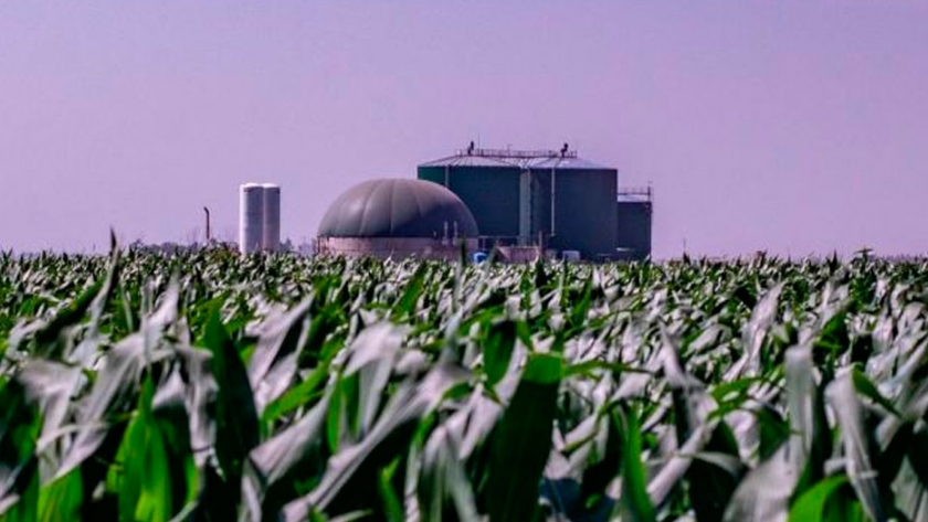 Economía circular: una planta de bioenergía de Córdoba recibió un premio mundial