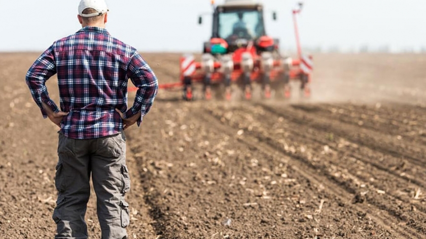 Las facultades agronómicas argentinas pierden posiciones a nivel mundial