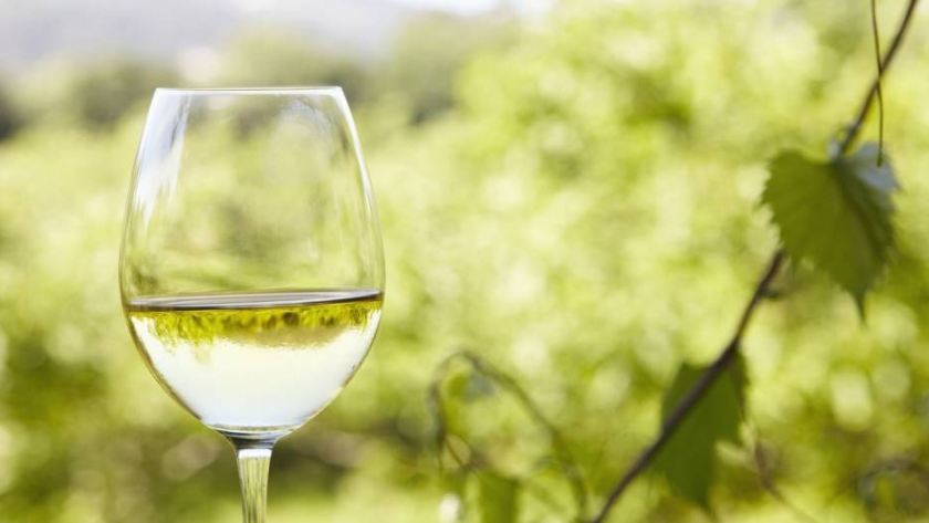 Semana del Torrontés: exquisitos vinos del norte para descubrir