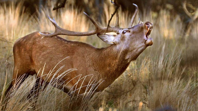 Turismo de Naturaleza: una vía de desarrollo