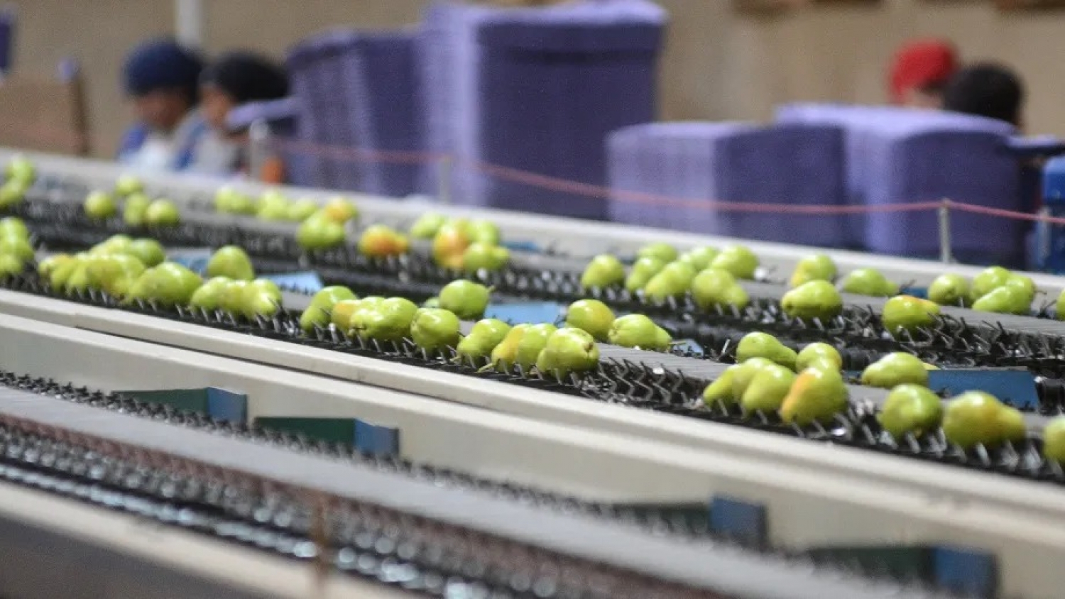 Producción en General Roca: polo industrial y apoyo PyME