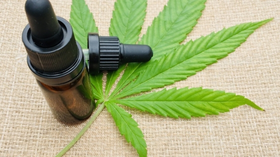 Cannabis Medicinal: el ministro De los Ríos presentó un informe en Diputados