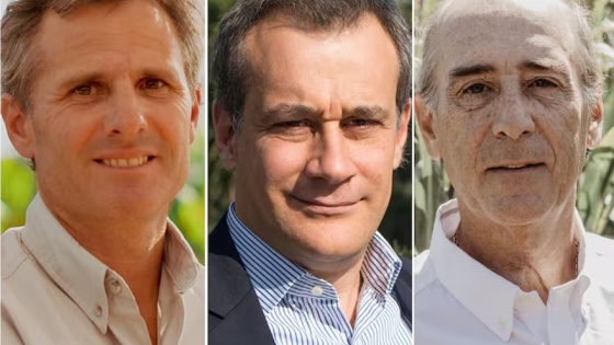 Maíz argentino: la campaña que inicia todo con genética y digitalización