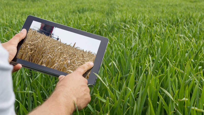 Digitalización en la agricultura: ¿misión imposible?