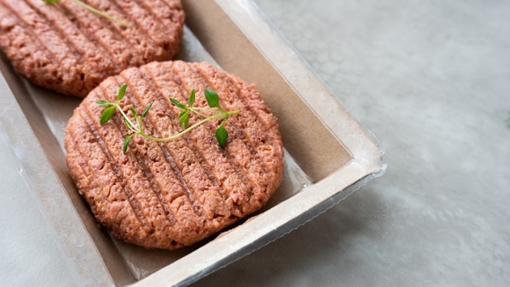 Plant-Based Meat Struggles in US Retail, Sees Brighter Future in Foodservice and Global Markets