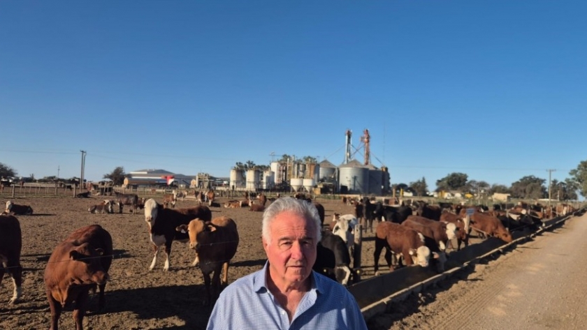 De 40 hectáreas a un negocio de agro, carne y bioetanol