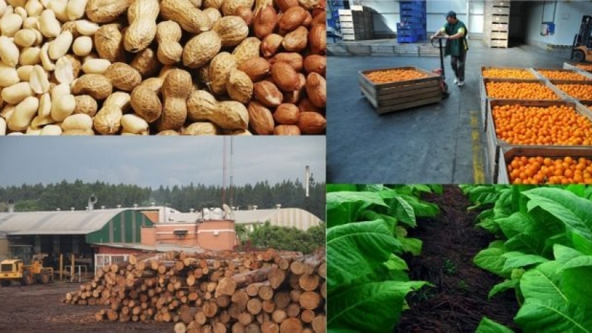 Las exportaciones regionales experimentaron caídas en marzo