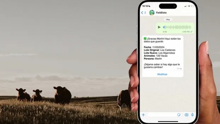 IA en ganadería: dos jóvenes vieron un problema en el campo y crearon una plataforma que ordena al establecimiento desde WhatsApp que ya usan más de 100 productores