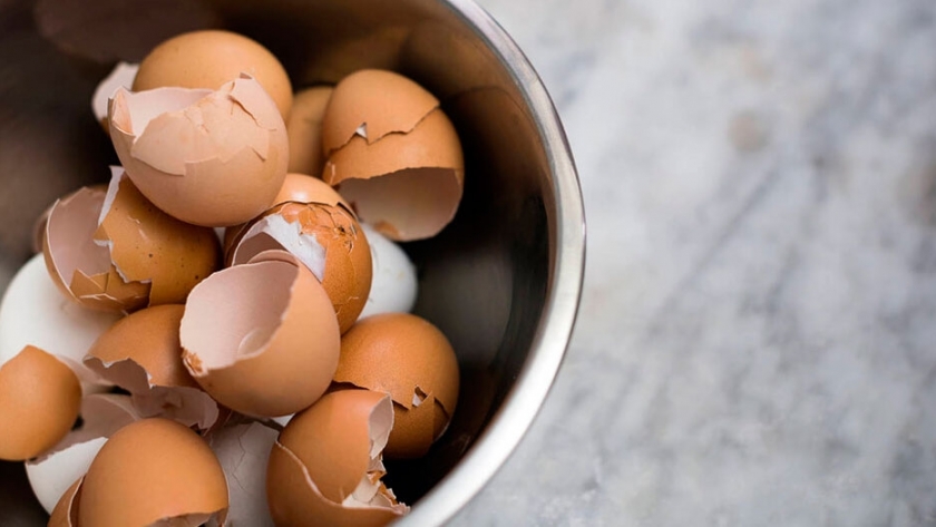 Dos alumnos crearon plástico biodegradable a partir de cáscaras de huevos