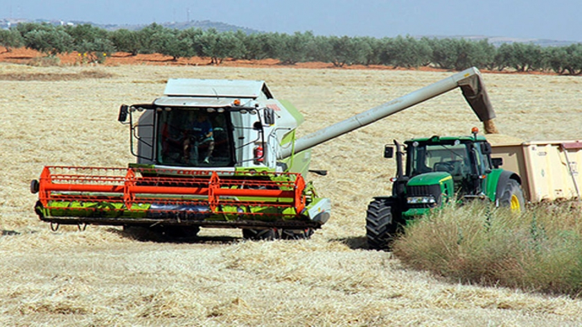 El COPA-Cogeca prevé menos trigo y colza en la UE-28 y bajos ingresos para los productores