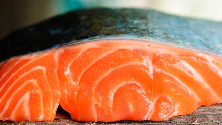 Así es el primer salmón transgénico que se podrá comprar en el súper