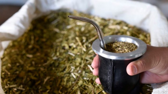 ¿Sin yerba en el verano?: disconformes con los precios, los productores analizan paralizar la cosecha