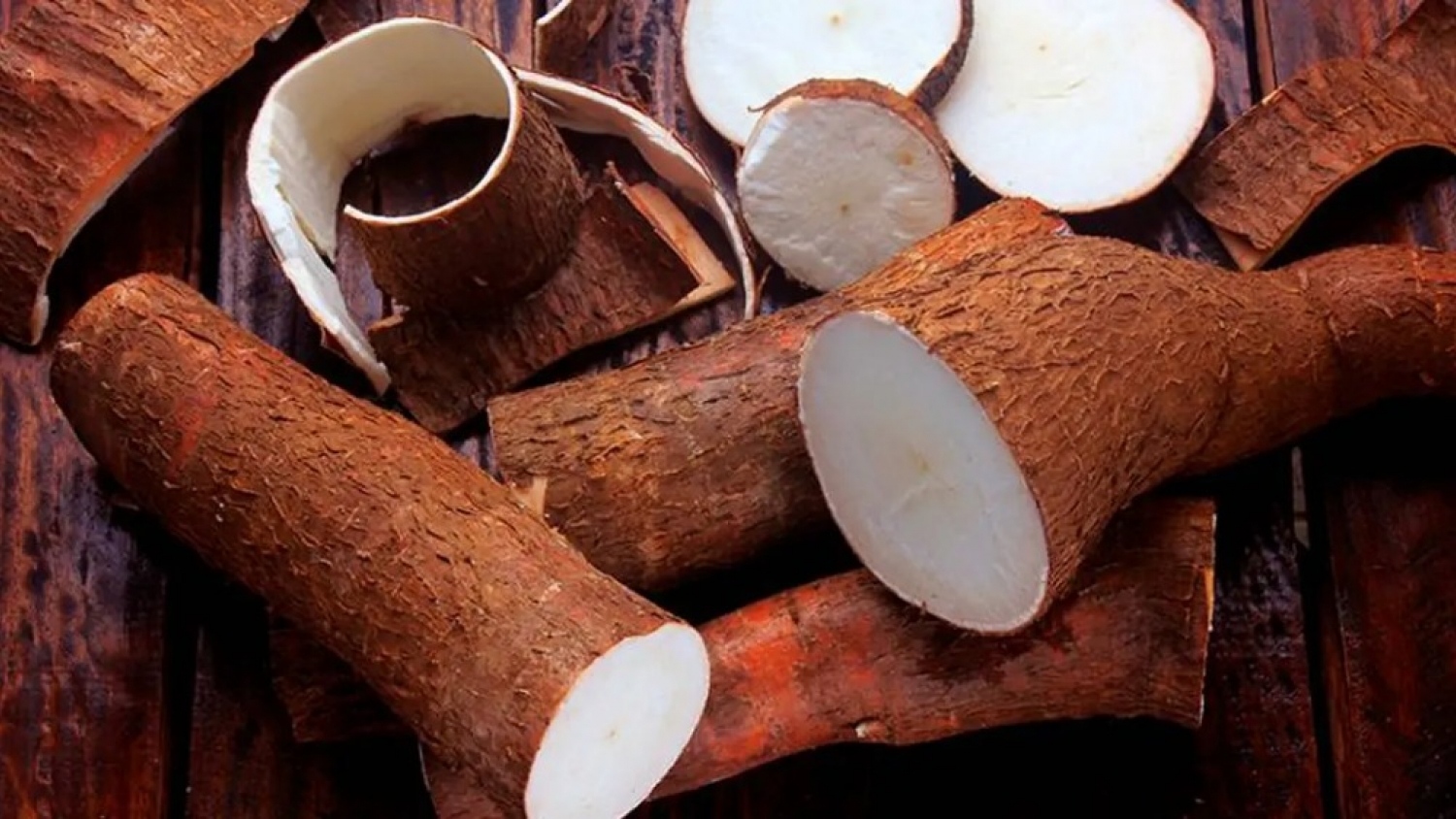 Nuevas variedades de mandioca: el INTA impulsa genética local para mejorar rendimiento y calidad