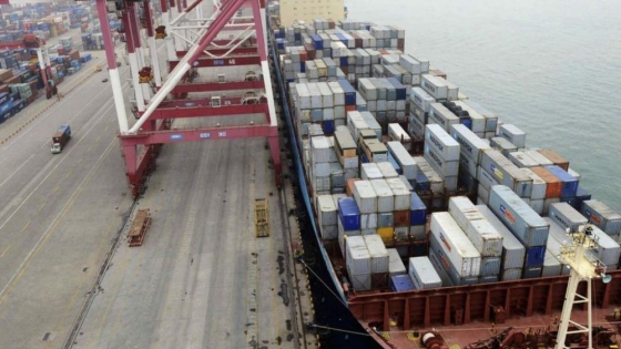 Colapso marítimo y negocio exportador en jaque