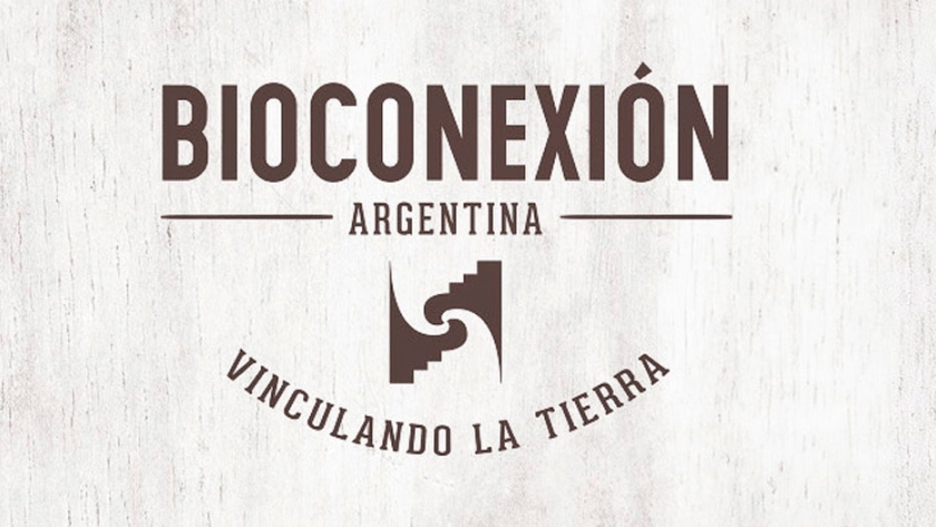Blumibox: solidaridad en un click