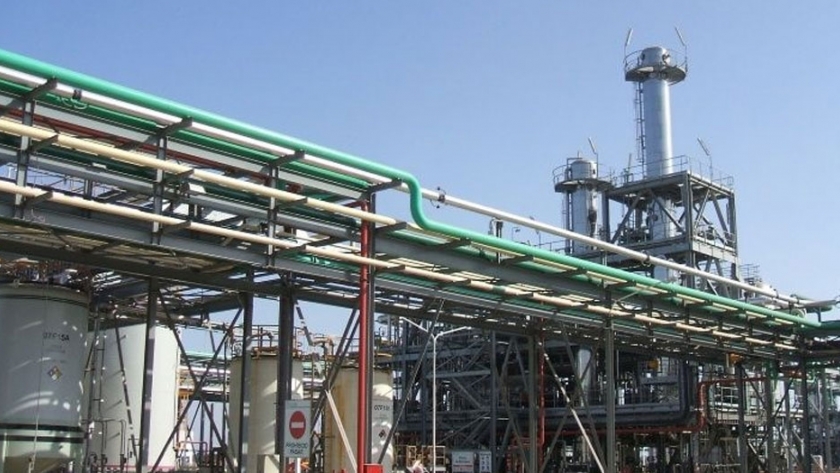La industria del biodiesel, en jaque