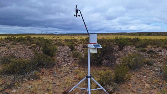 Radar ganadero para la Patagonia