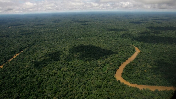 La acción humana, mayor amenaza para la Amazonía que el cambio climático, según científicos