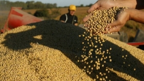 El Gobierno oficializó la rebaja temporal de las retenciones a la soja y sus subproductos