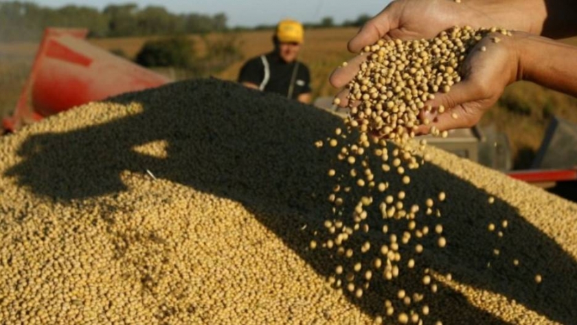 El Gobierno oficializó la rebaja temporal de las retenciones a la soja y sus subproductos