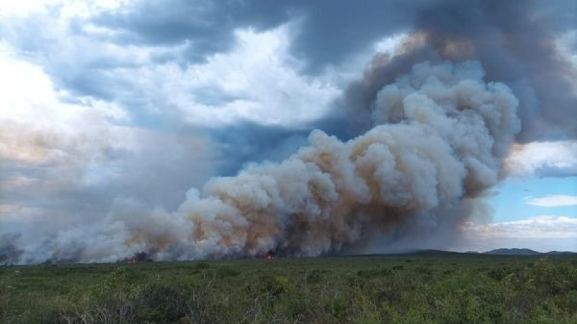 Incendio forestal afectó cerca de 5 mil hectáreas del Parque Nacional Lihue Calel