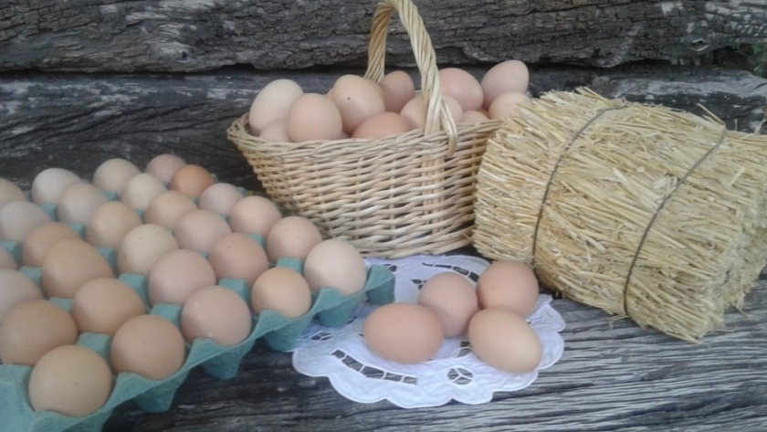 Alimentos en casa: compras inteligentes, con delivery y a precios justos