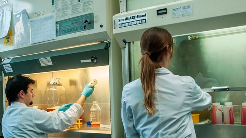 Frente a la pandemia, el INTA también aportó laboratorios y científicos capacitados