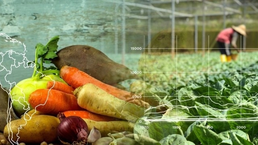 Tecnología y agricultura: claves para alcanzar el hambre cero