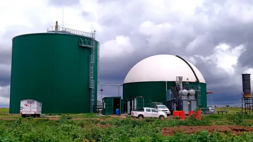 Se puso en marcha una planta de biogás de 1 megawatt que se alimenta con silo de maíz y desechos de feedlots