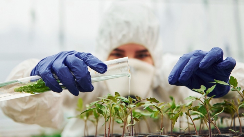 Tucumán: Buscan fortalecer la bioeconomía en el Noa